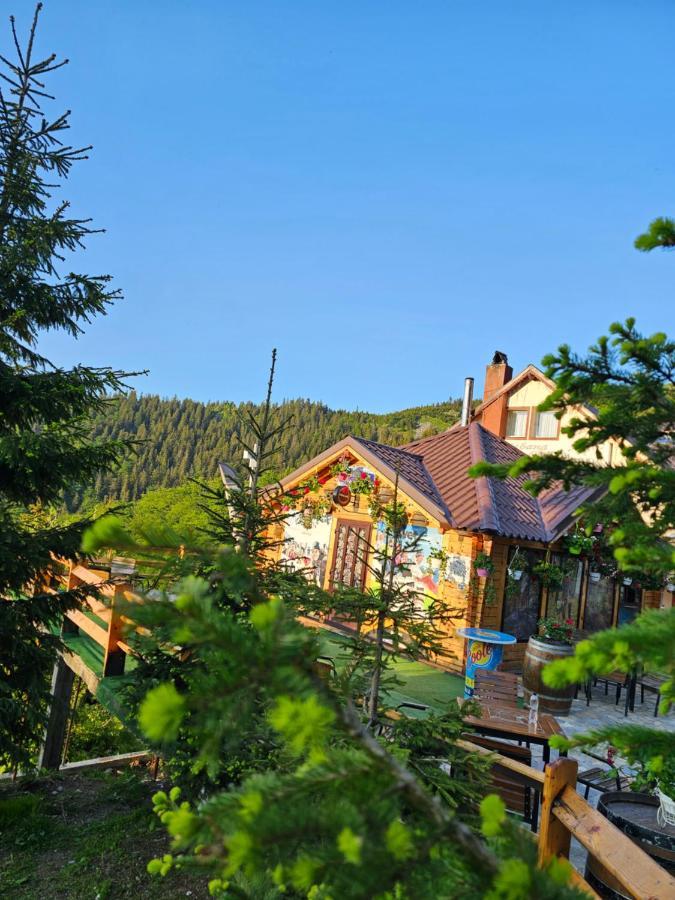 Cabana Edelweiss Lupeni  Buitenkant foto